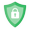 ssl icon